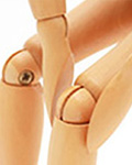 サンプルイメージ 男性